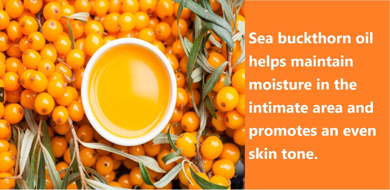 Minyak buckthorn laut membantu mengekalkan kelembapan di kawasan intim dan mempromosikan tona kulit yang sekata.